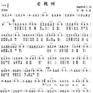 老槐树_民歌简谱