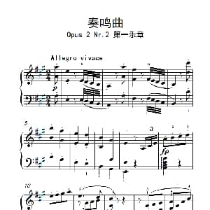 奏鸣曲 Opus 2 Nr.2 第一乐章 钢琴谱 贝多芬