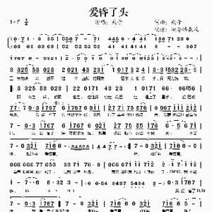 爱昏了头_歌谱投稿_词曲:欢子 欢子