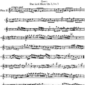 长笛曲谱 | 匡茨G大调长笛二重奏Op.2 Flute 2 No.2 Quantz 匡茨