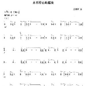 二胡谱 | 永不停止的摇滚 王莉莉