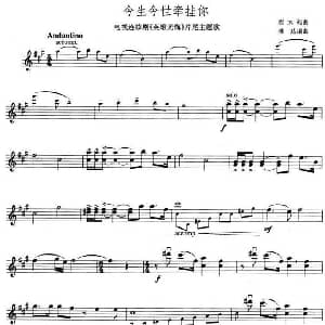 小提琴谱 | 今生今世牵挂你 电视剧 英雄无悔 片尾歌 程大兆
