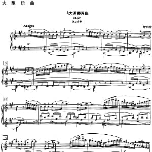 钢琴教程第八级 大型乐曲 钢琴谱 舒伯特