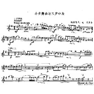 长笛曲谱 | 小步舞曲与三声中段 独奏部分