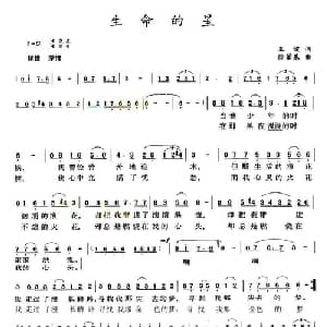 生命的星_美声唱法乐谱_词曲:王健 徐肇基