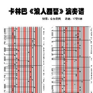 浪人琵琶_歌曲简谱_词曲:单色凌 单色凌