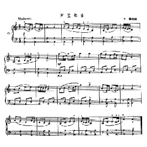 手风琴谱 | 芦笙舞曲 李聪改编