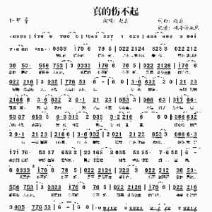 真的伤不起_歌谱投稿_词曲:赵真 赵真