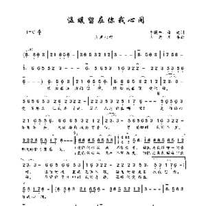 温暖留在你我心间_歌曲简谱_词曲:李跟年 郑旭 大约冬季