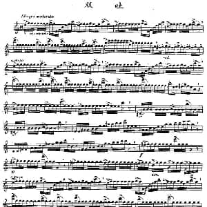 长笛曲谱 | 双吐