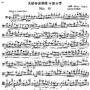 大提琴高级练习曲40首 No.16 戴维 波帕尔