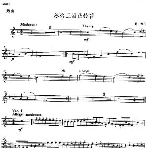 小号考级五级 苏格兰的蓝铃花 戴・维来