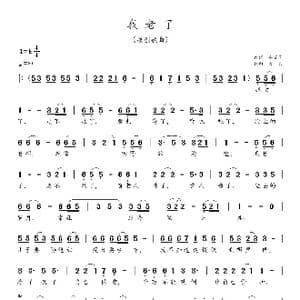 我老了_歌曲简谱_词曲:安百花 天恩