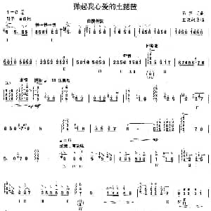 柳琴考级曲目六级 弹起我心爱的土琵琶 吕其明曲 王惠然改编