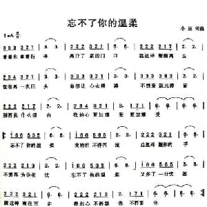 忘不了你的温柔_通俗唱法乐谱_词曲:小豆 小豆