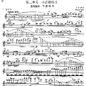 长笛曲谱 | 中高级练习 节奏练习 练习曲部分