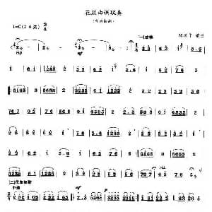 花鼓曲调联奏 高音板胡