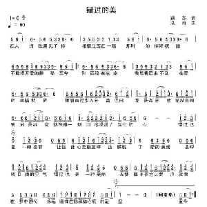 错过的美_通俗唱法乐谱_词曲:颖齐 泓涛
