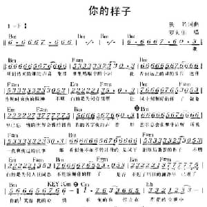 你的样子_通俗唱法乐谱
