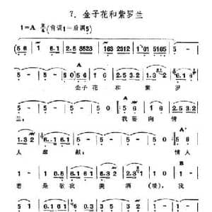 金子花和紫罗兰_民歌简谱