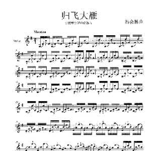 归飞大雁_歌谱投稿_词曲: 杨会林曲