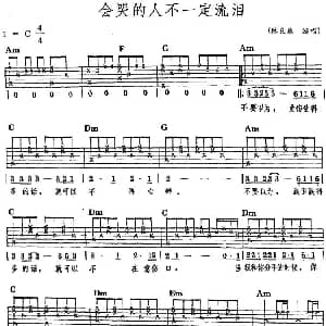 民族吉他弹唱 会哭的人不一定流泪 吉他谱 林良乐