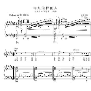 你是这样的人_美声唱法乐谱_词曲:宋小明 三宝