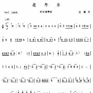 老年乐 板胡独奏 王鹏