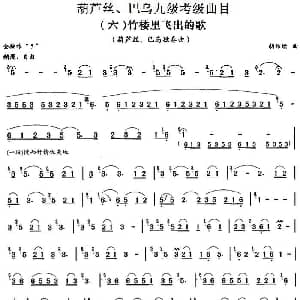 巴乌九级考级曲目 竹楼里飞出的歌 胡结续