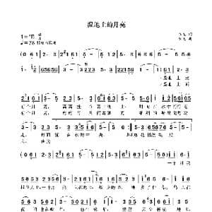湿地上的月亮_歌曲简谱_词曲:袁龙 袁龙