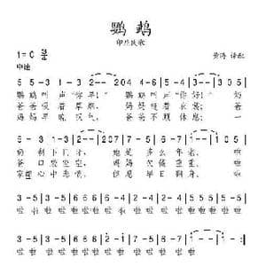 印尼 鹦鹉_歌谱投稿