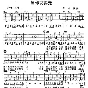 当你说要走 吉他谱 王杰