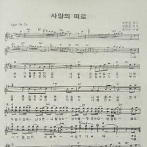韩国 사랑의 미로_歌曲简谱_词曲:迟明吉 翻译:郑学哲 金喜甲