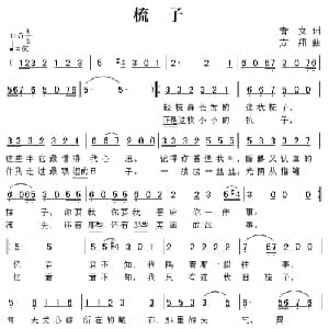 梳子_通俗唱法乐谱_词曲:青女 方翔