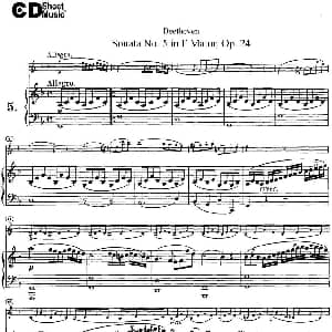 小提琴谱 | Violin Sonata No.5 in F Major Op.24 小提琴 钢琴伴奏