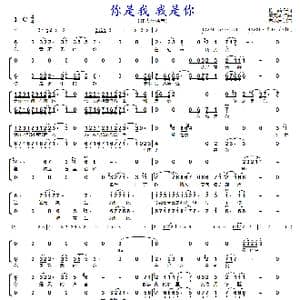 你是我 我是你_歌曲简谱_词曲:赖菡 王天胤