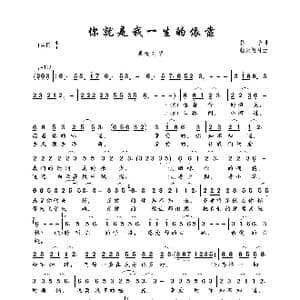 你就是我一生的依靠_歌曲简谱_词曲:婴子 轻云望月
