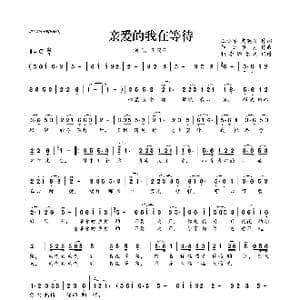 亲爱的我在等待_歌曲简谱_词曲:王小军 史英良 轻云望月