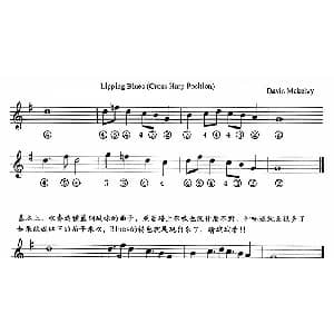 口琴谱 | Lipping Blues 十孔口琴