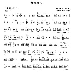 二胡谱 | 你呀你呀 叙利亚民歌 王莉莉订谱