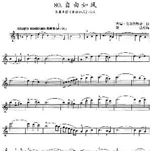 小提琴谱 | 自由如风 美国电影 自由如风 插曲 杰瑞 戈尔德斯密士曲 雄达改编