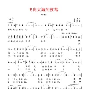 飞向大海的夜莺_美声唱法乐谱_词曲:王磊 胡小环