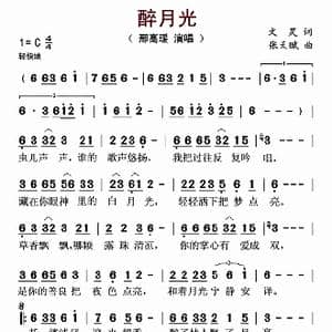 ​醉月光_歌曲简谱_词曲:文炅 张天赋