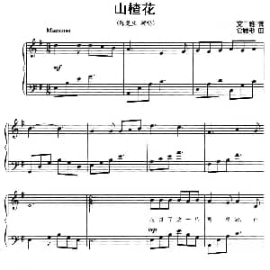 山楂花 钢琴谱 文雅 仓雁彬