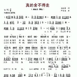 真的舍不得走_歌谱投稿_词曲:赵树峰 薛清海