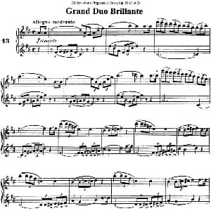 长笛曲谱 | 柯勒40首长笛提高练习曲OP.55 二重奏 NO.13 Kohler 柯勒