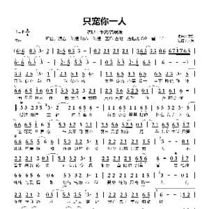 只宠你一人_歌曲简谱_词曲:蓝乐 蓝乐