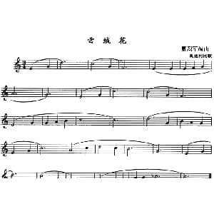 雪绒花 单簧管 卿烈军编曲