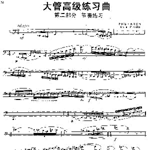 大管高级练习曲 第二部分 节奏练习 2 卡列尔 比汪卡
