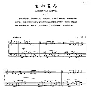 生如夏花 钢琴谱 朴树